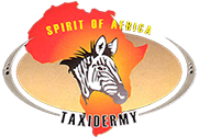 Spirit of Africa Taxidermy
