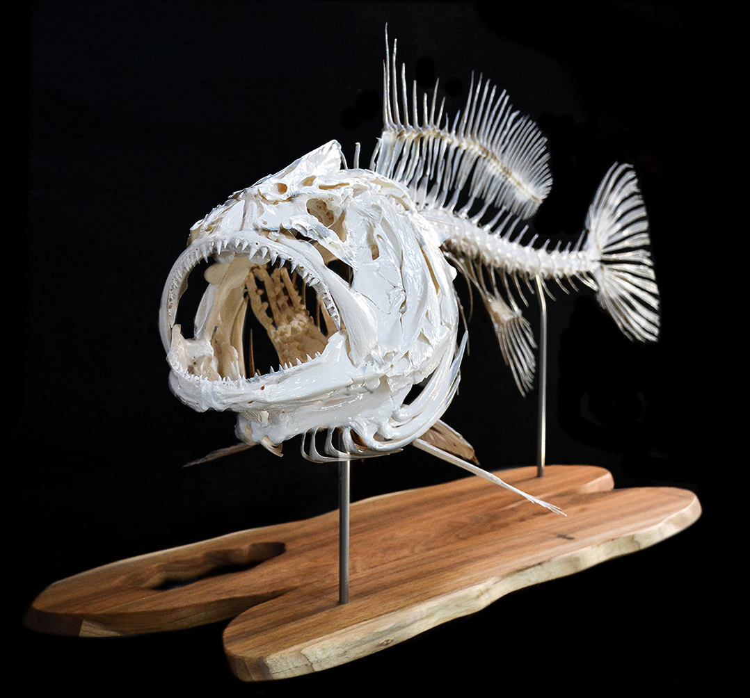 crafted with integrity - fish